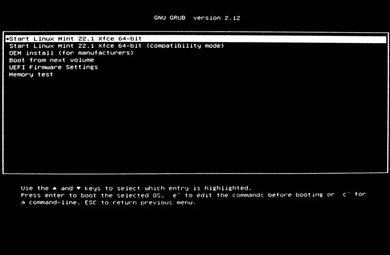 インストールメディアを起動すると現れるgrub画面