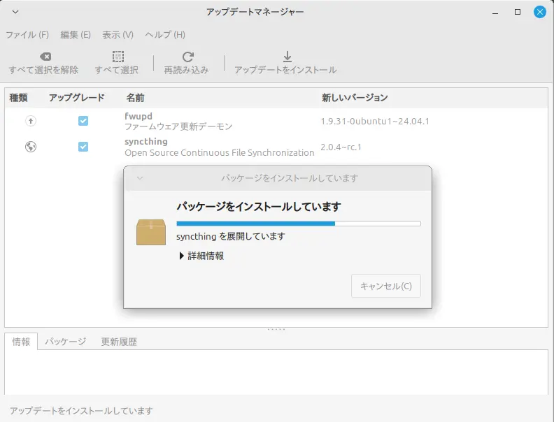 アップデートパッケージがインストールされる